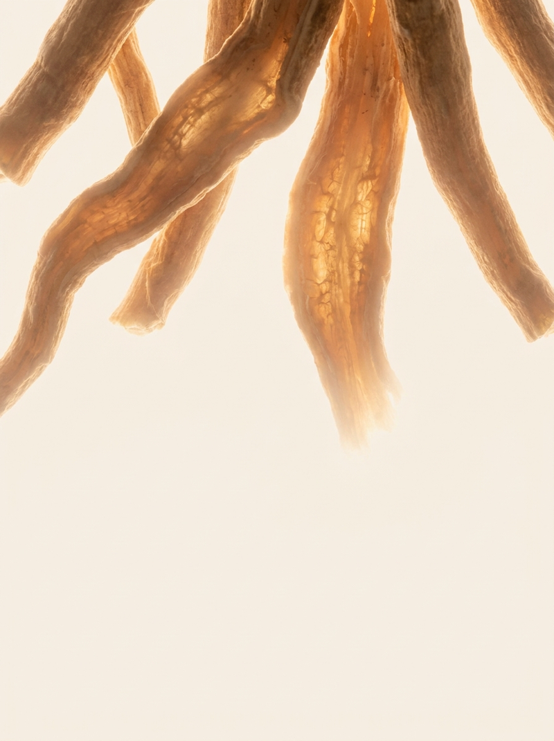 Ashwagandha KSM-66®